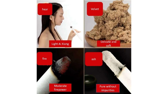 Effective 20cm Moxibustion Sticks for Home Length 1.8*20cm-4 Dehumidifying and Warming